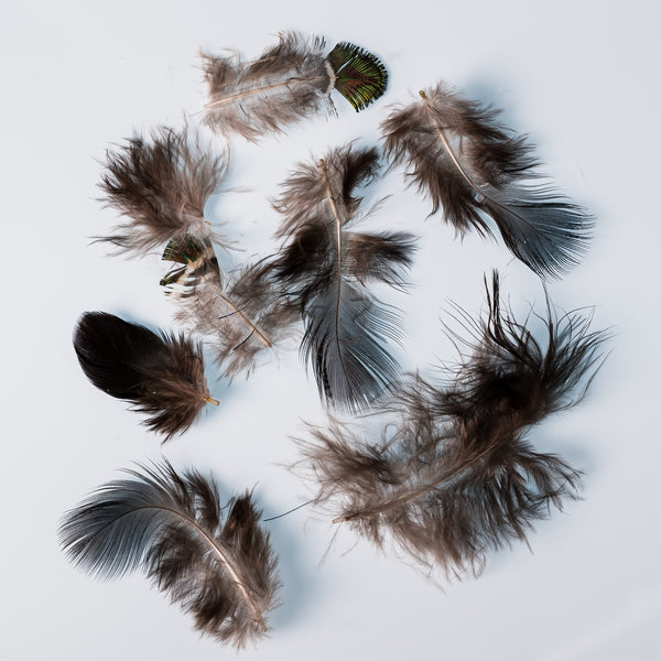 Peacock Plumage Hat Feathers – Big D Speedshop