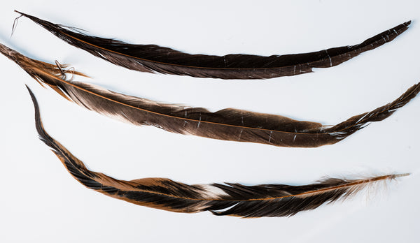 Ringneck Pheasant Hat Feathers